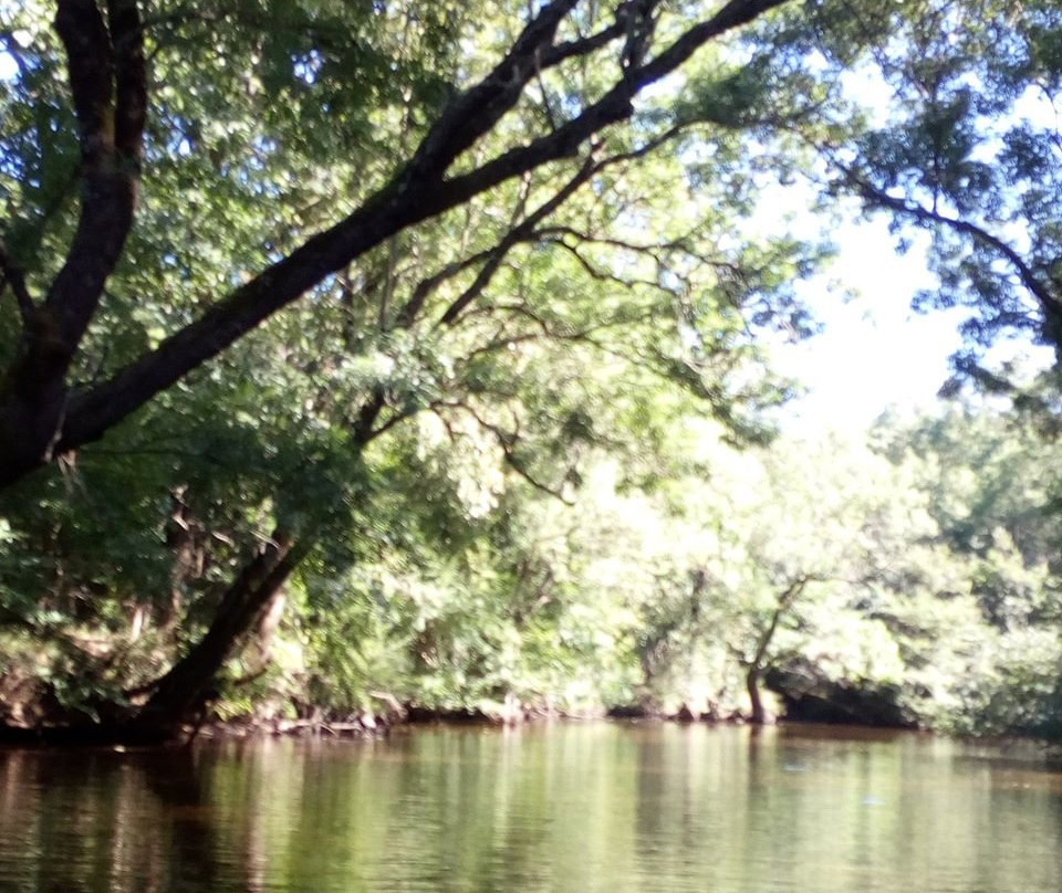 Ropotamo Nature Reserve-普里莫斯科必去景点