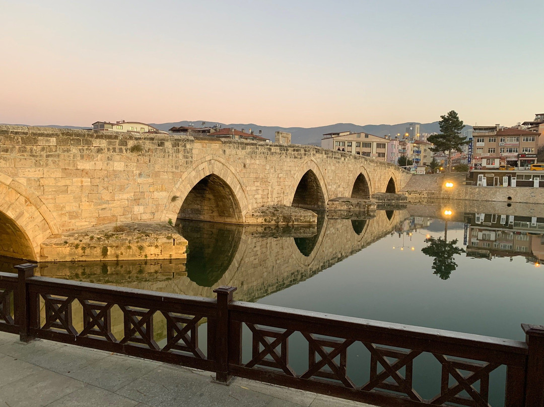 Hidirlik Koprusu(Tas Kopru)景点图片