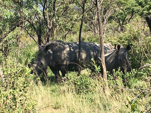 Bonisa Excursions-布拉瓦约必去景点