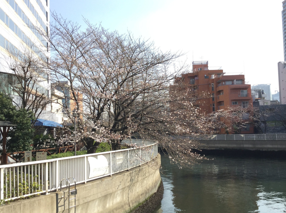 Fukagawa Sakura Festival景点图片