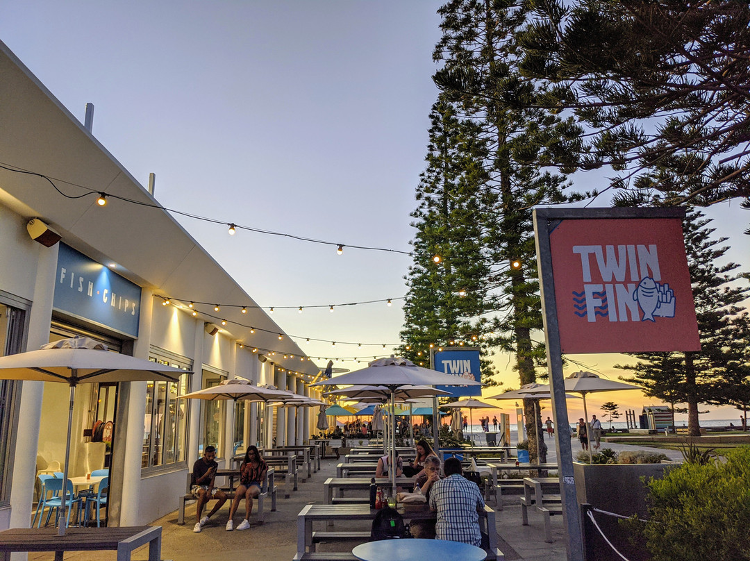 Twin Fin