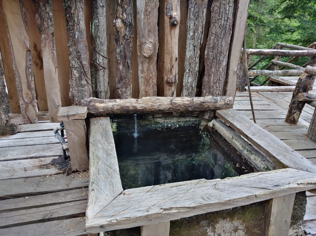 Termas Canon del Blanco-Curacautin必去景点
