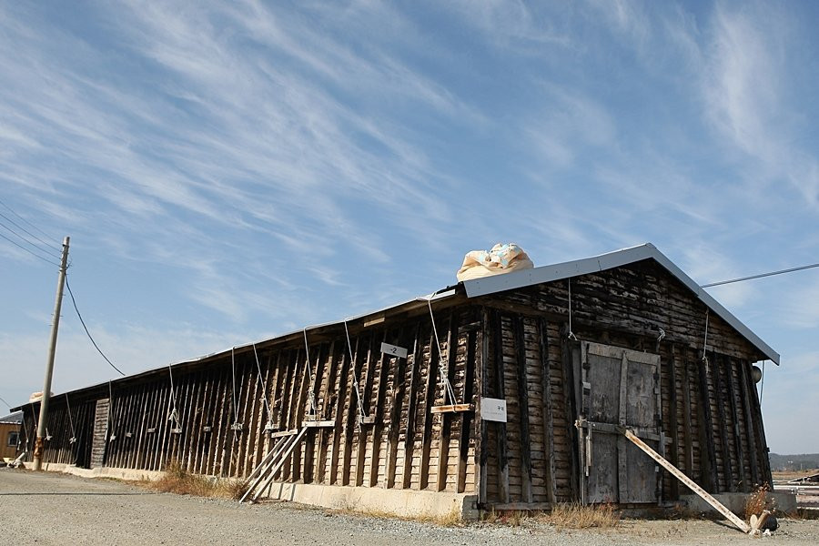 Taepyeong Salt Farm