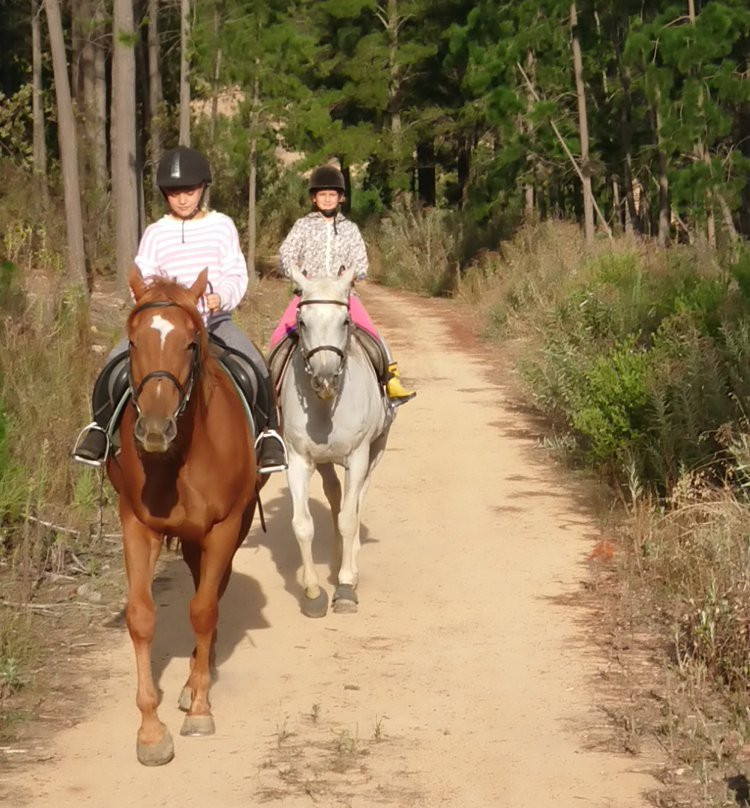 Eagles View Equestria at Klein Lanzerac-Elsenburg必去景点