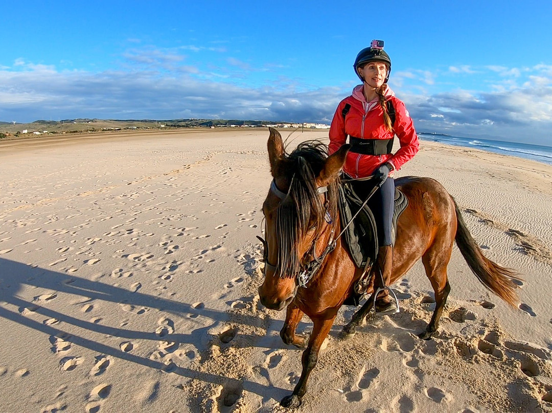Aventura Ecuestre-塔里法必去景点
