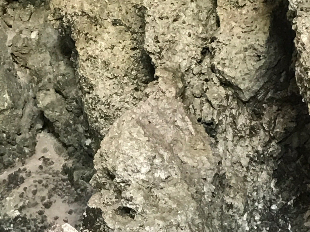 Monumento Historico Cueva Maria de La Cruz-Loiza必去景点