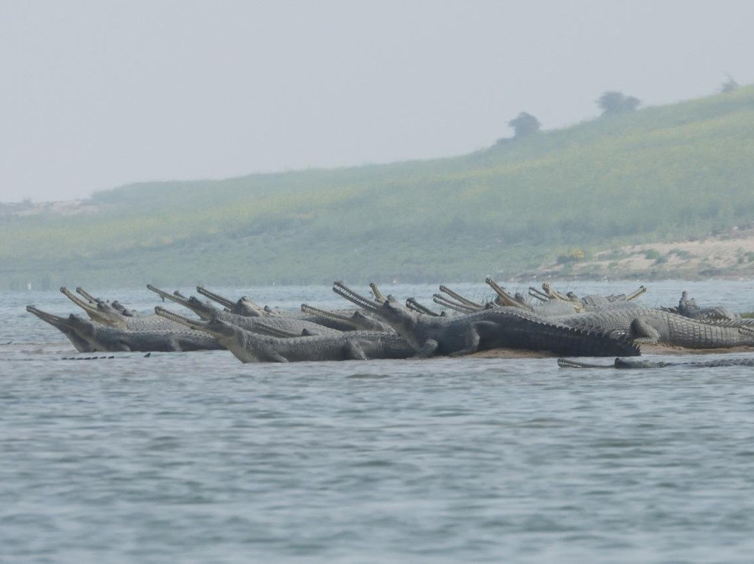 Bah旅游攻略图片