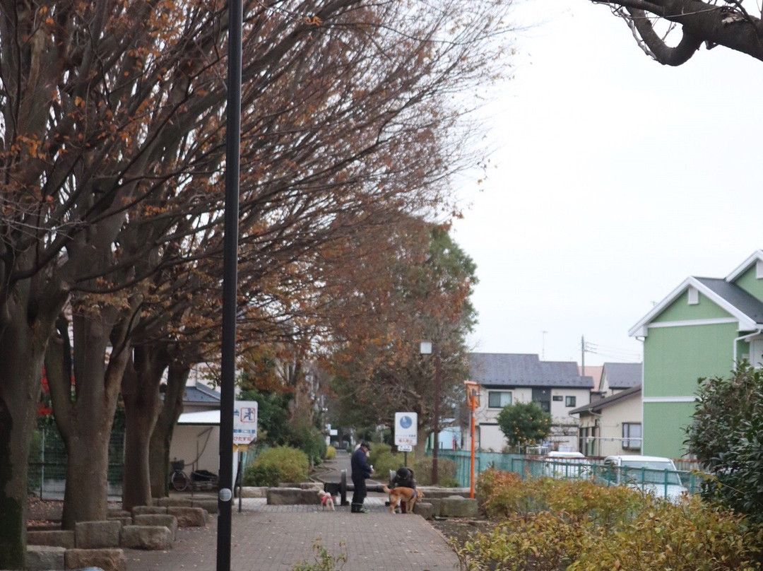 Ichinomiya Pedestrian Path-寒川町必去景点
