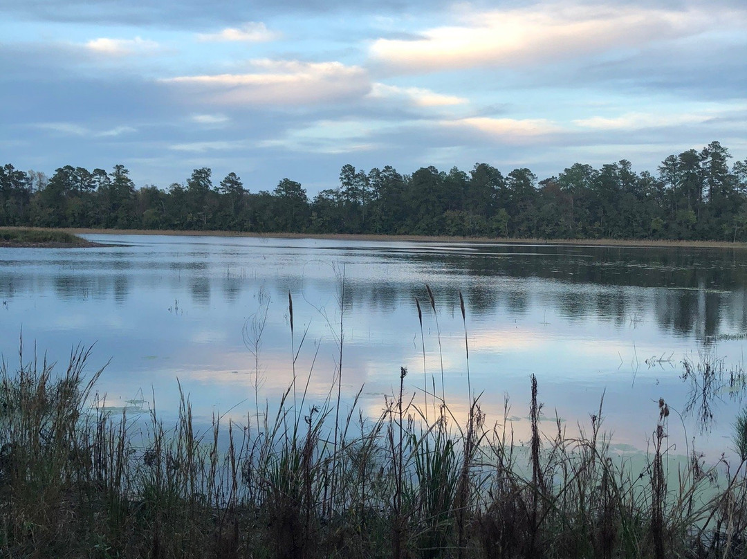 Little Pee Dee State Park景点图片