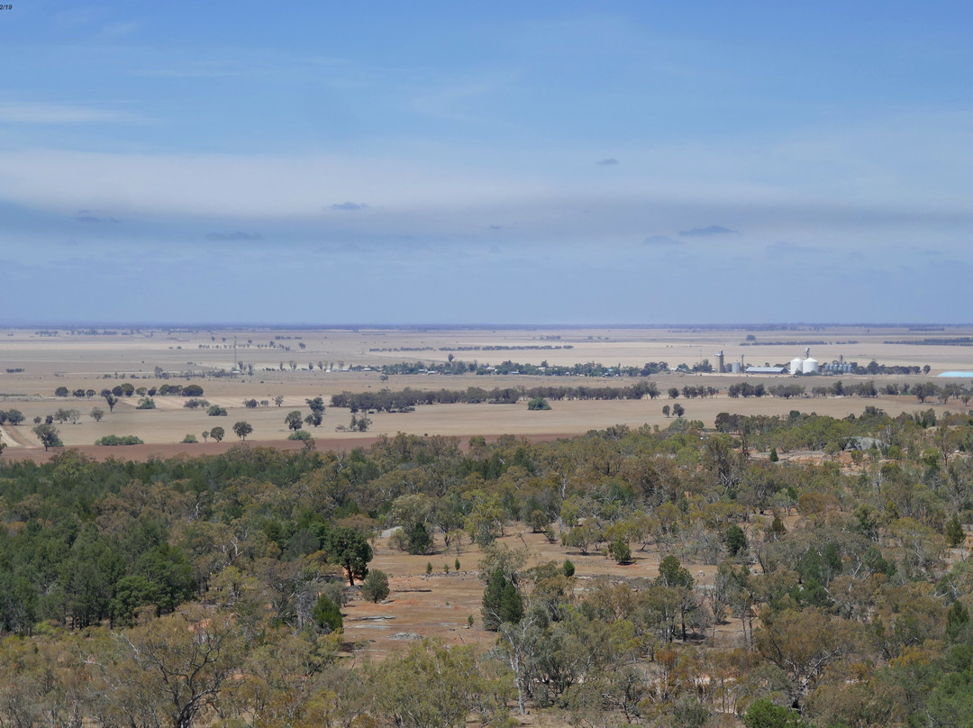 Terrick Terrick National Park-Mitiamo必去景点