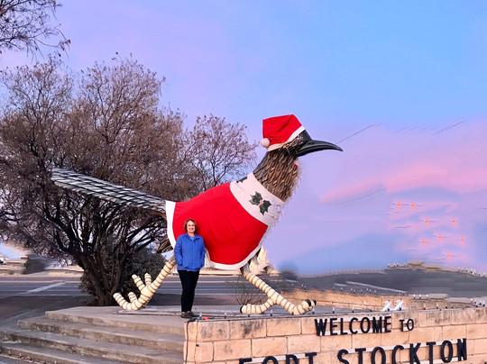 Giant Road Runner-Fort Stockton必去景点