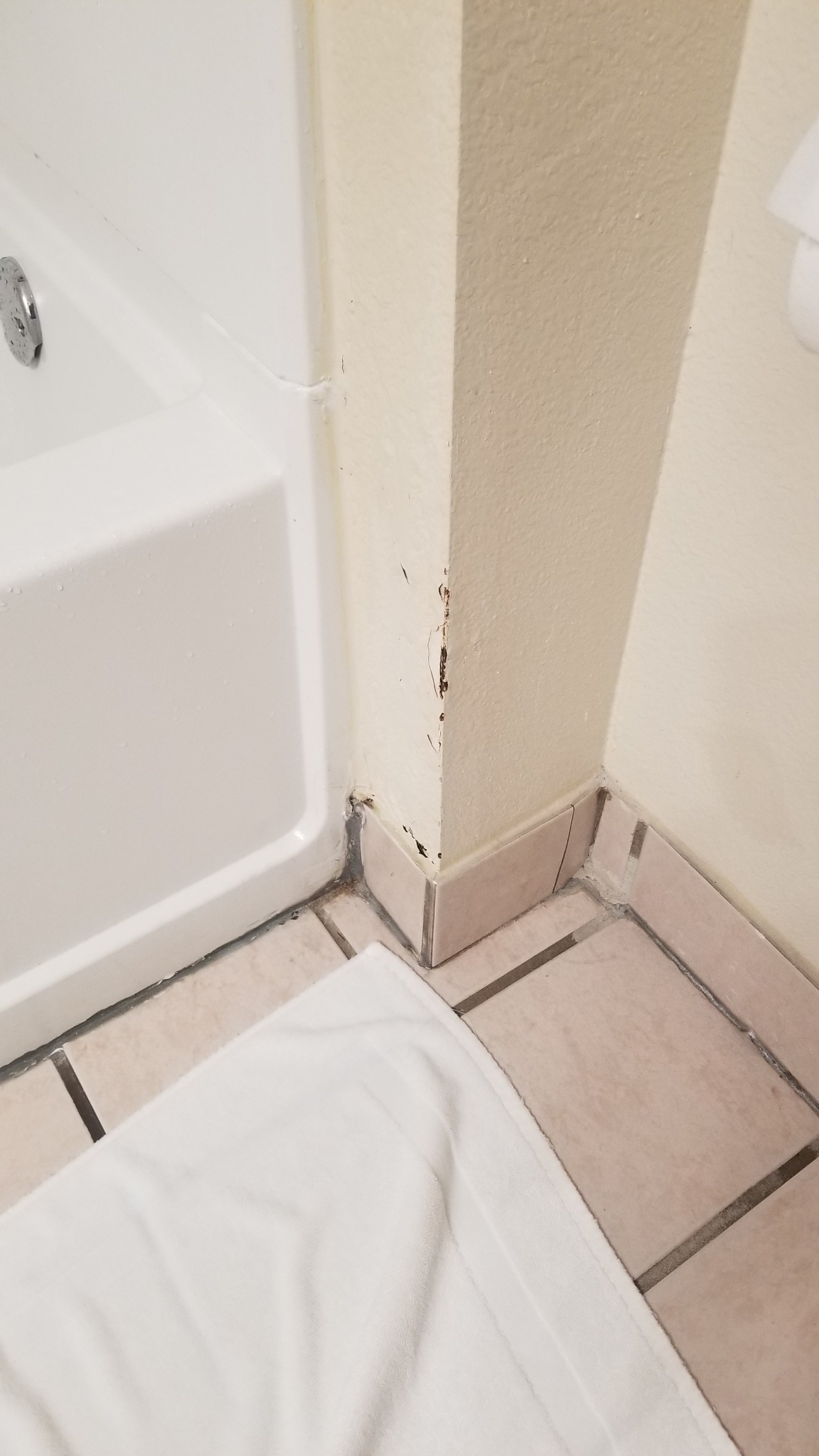 Best Western Roanoke Inn & Suites-浴室