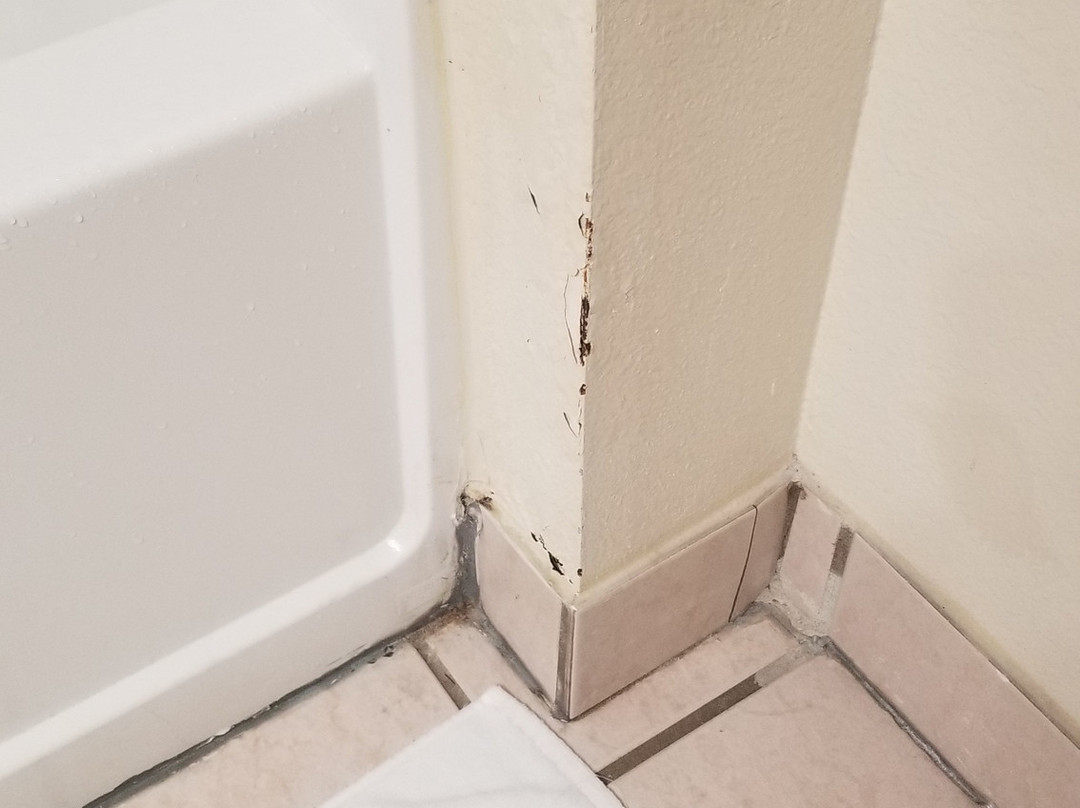 Best Western Roanoke Inn & Suites主图