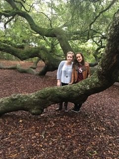 Angel Oak Tree景点图片