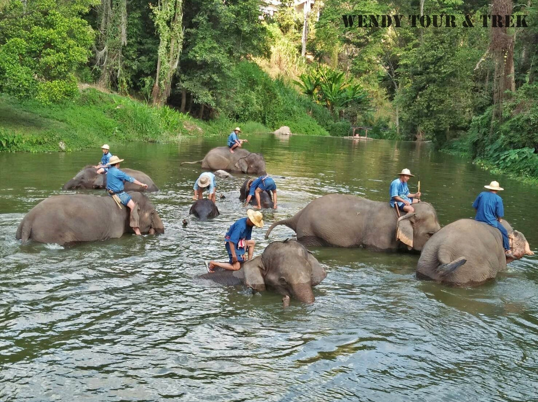 Thai Elephant Conservation Center-限察必去景点