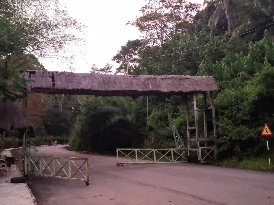 Ikogosi Warm Springs景点图片