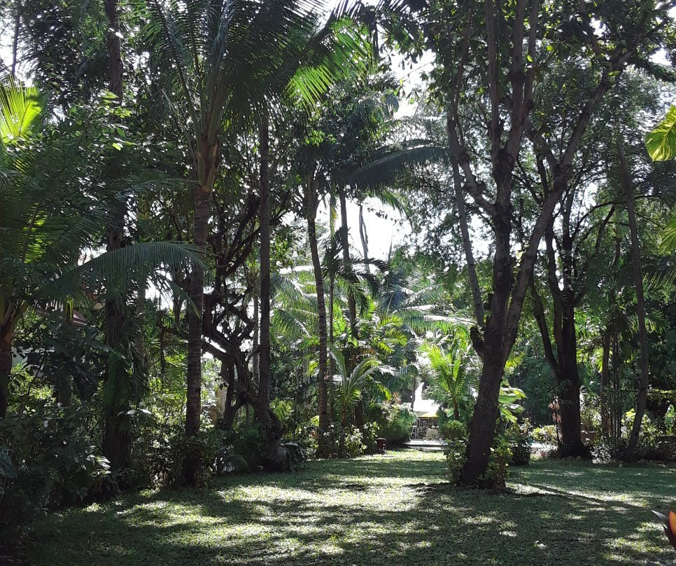 萨尔瓦多海滩度假村主图