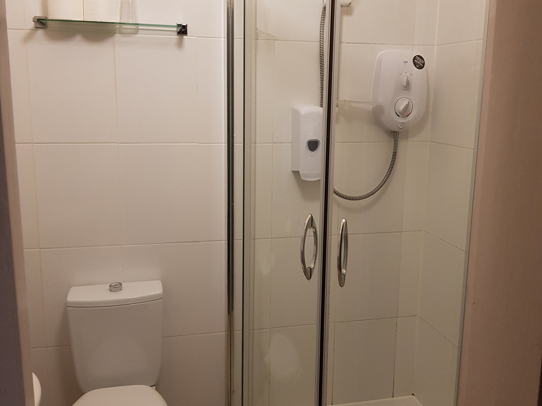 The Dolphin Hotel主图