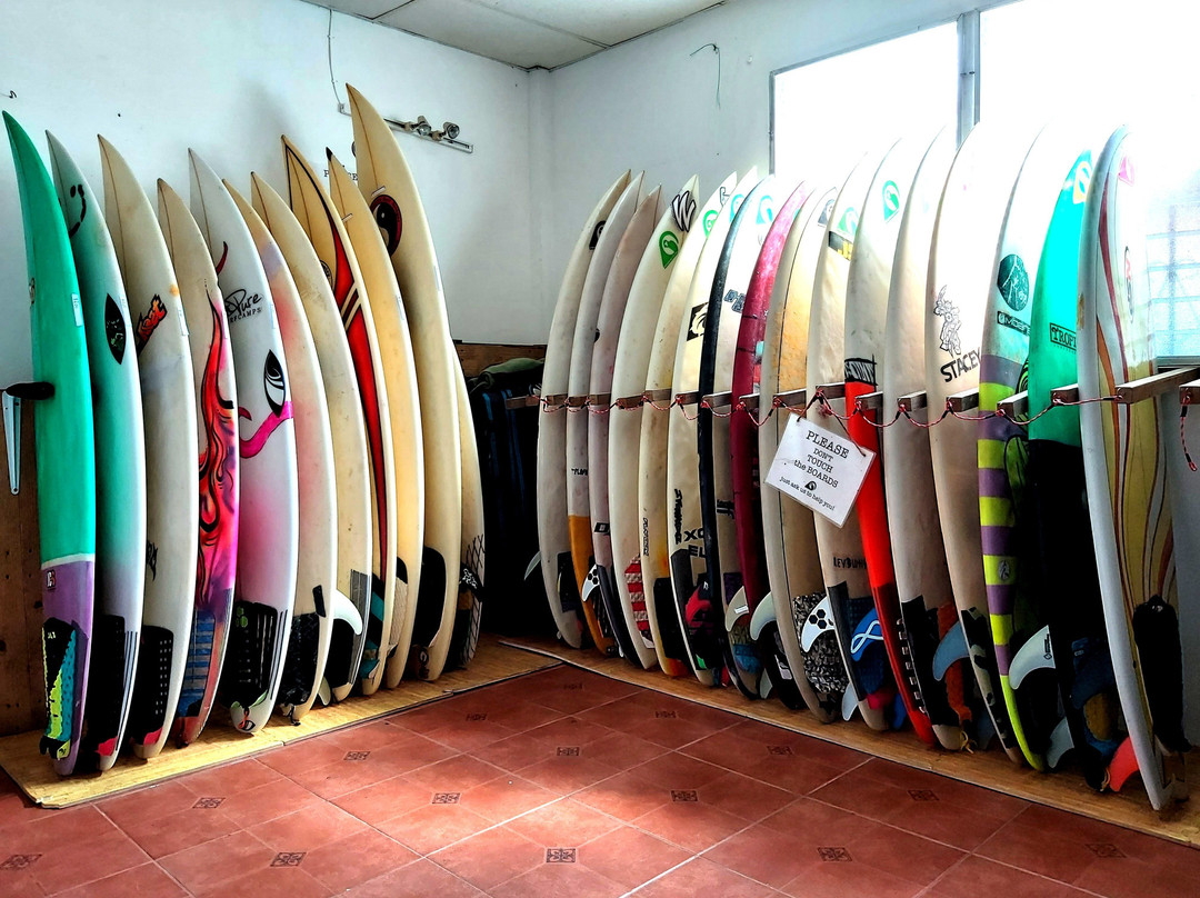 Mono Loco Surf School景点图片