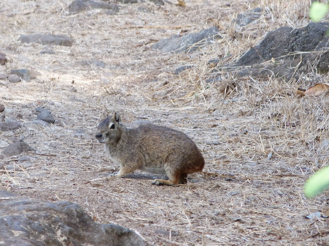 Trilha Costa Esmeralda-费尔南多-迪诺罗尼亚群岛必去景点