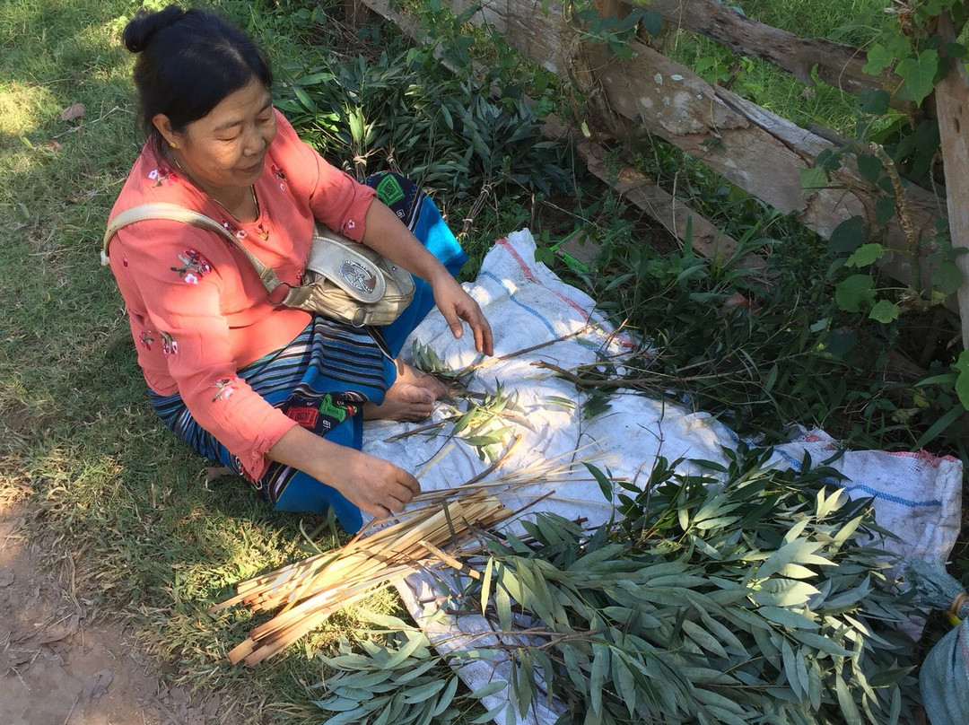 Ko Pee Travel & Trekking Tours - Hsipaw-西保必去景点