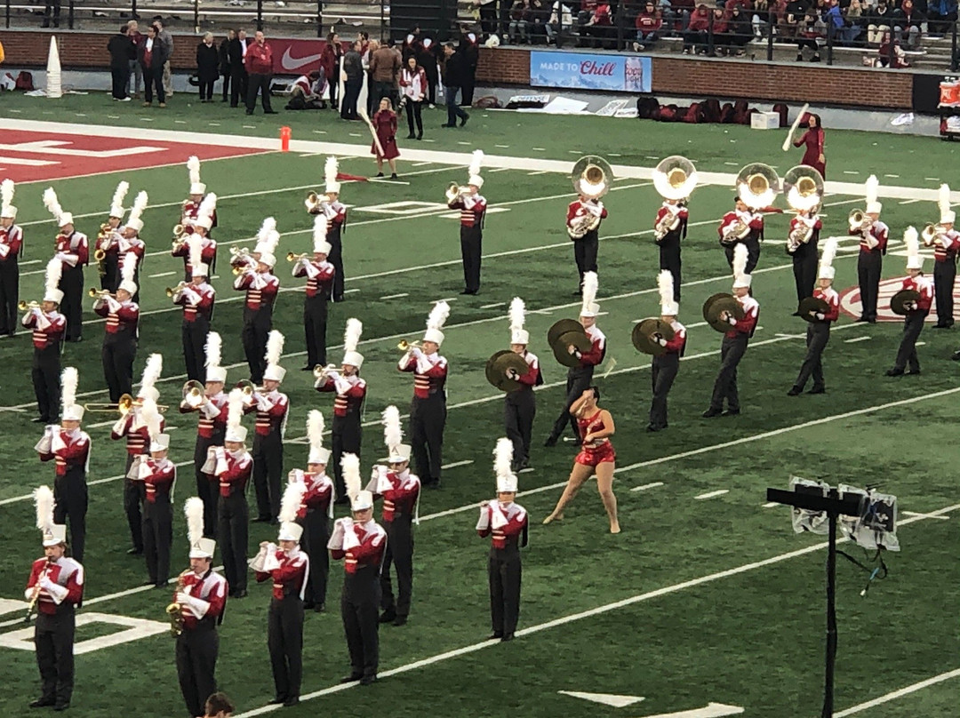 Washington State University景点图片