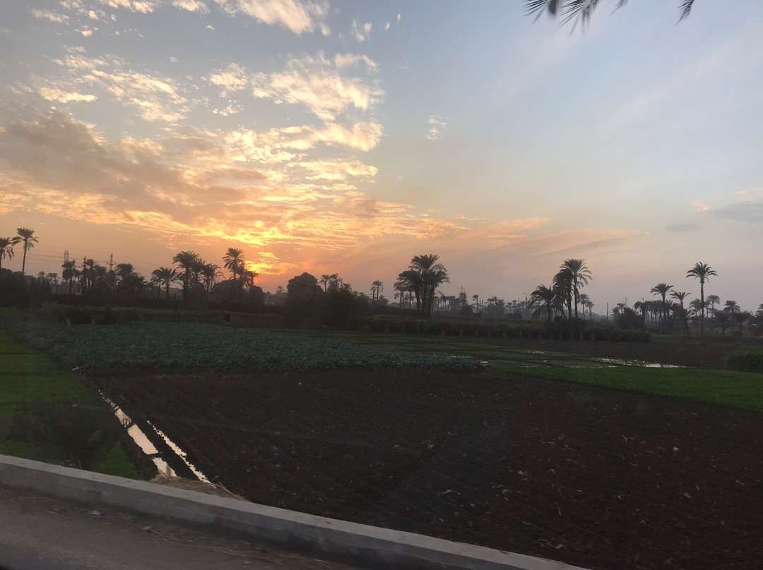 Assiut Cement Hotel主图