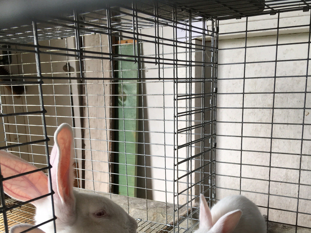 The Benedictine Monks ofWeston Priory-Weston必去景点