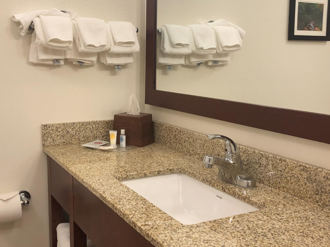 Comfort Suites Downtown主图