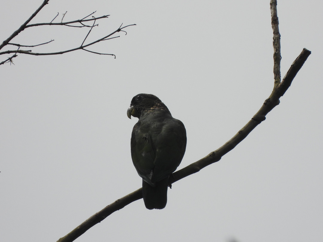 Cachoeira do Alecrim-Tapirai必去景点