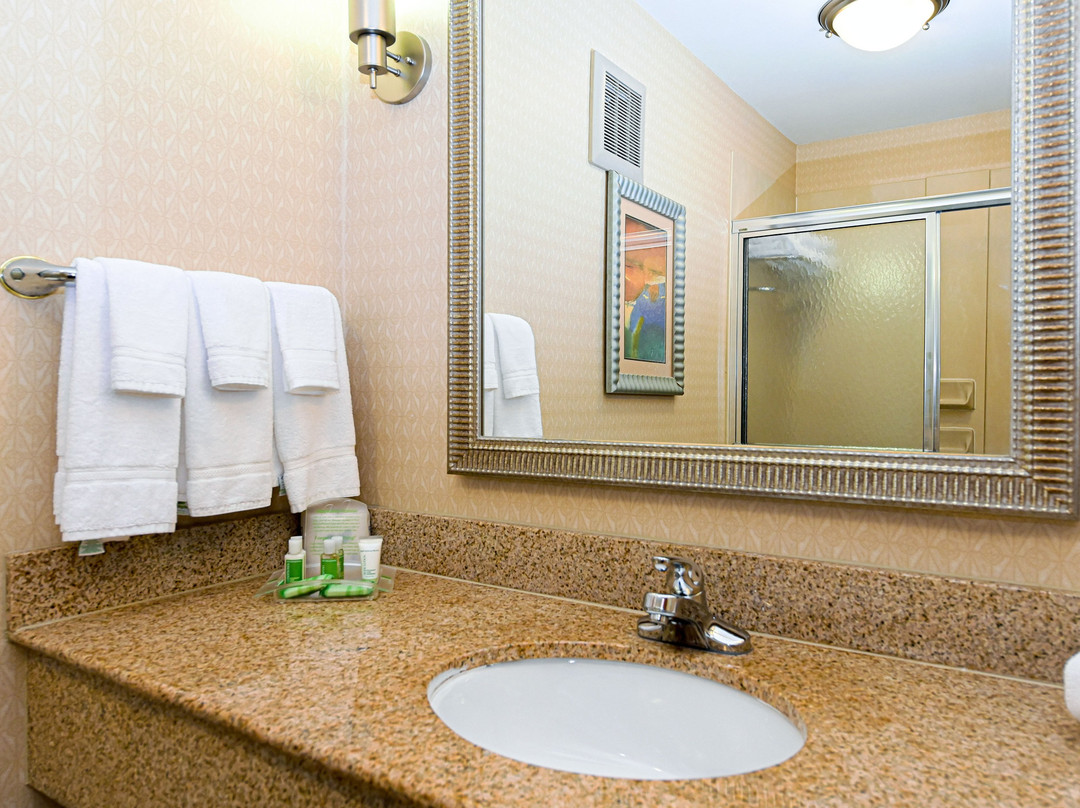 Holiday Inn Petersburg North- Fort Lee by IHG主图