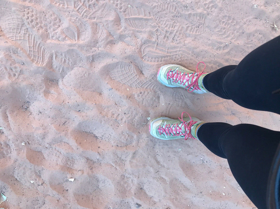 Cohab Canyon Trail-圆顶礁国家公园必去景点