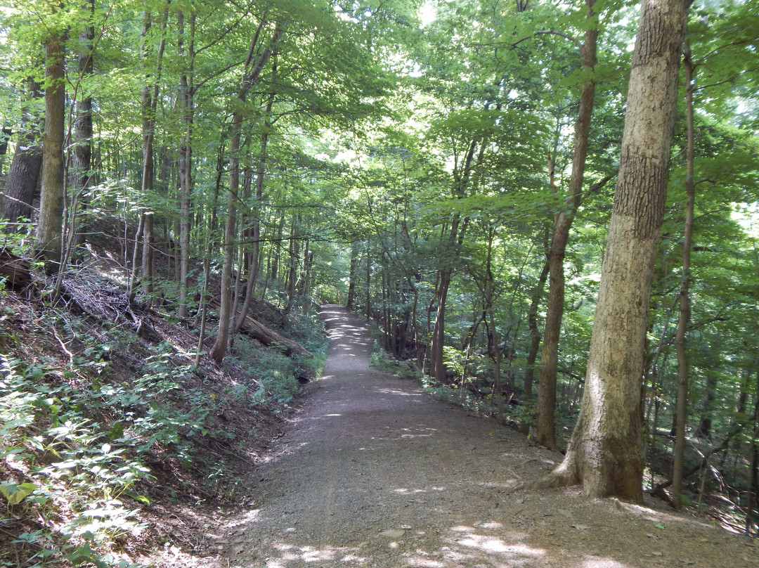 WVU Core Arboretum景点图片