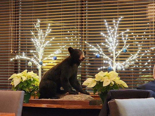 Hermon餐馆和美食-Tailwinds Grille