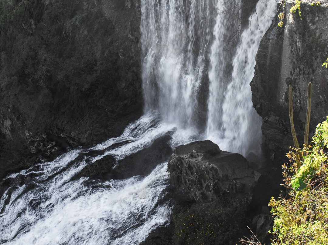 Cascata da Usina景点图片