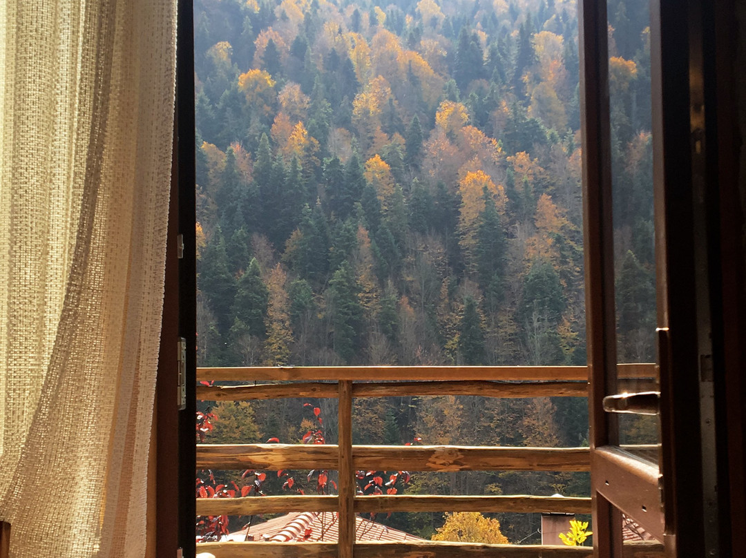 Abant Gokdere Kartal Yuvasi Hotel主图