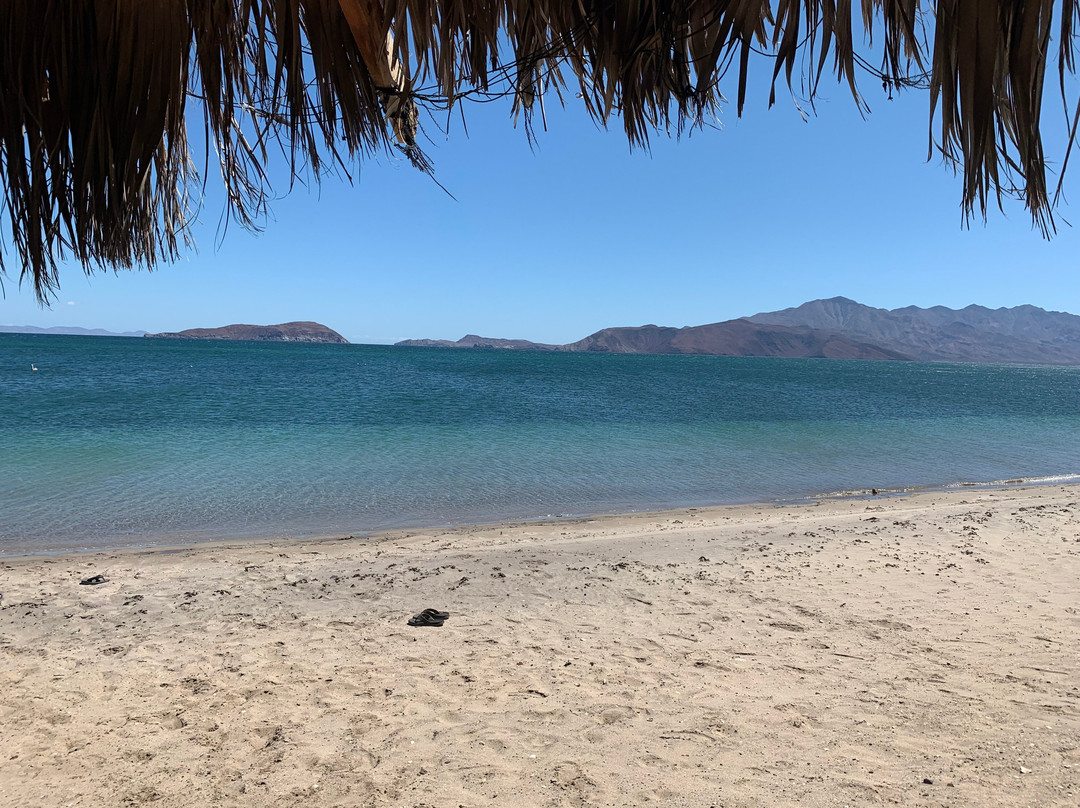Archelon Camp