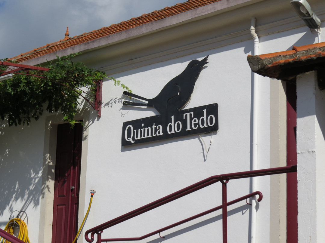 Quinta do Tedo景点图片