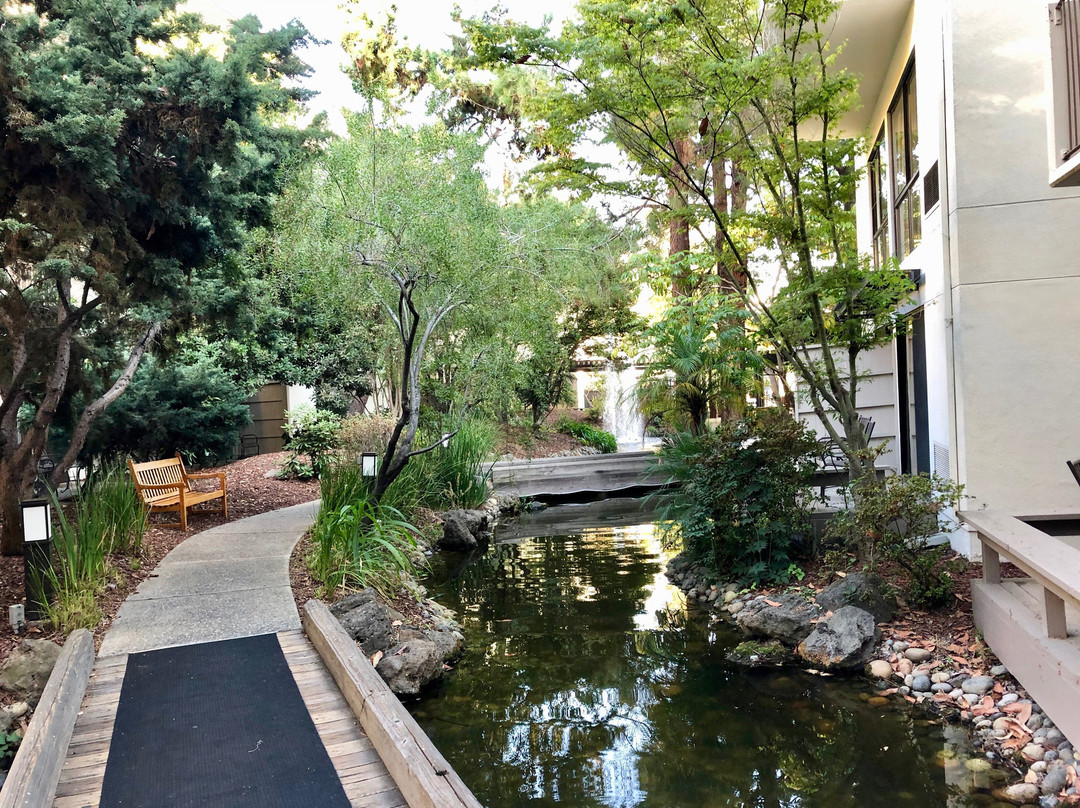 帕洛阿尔托喜来登酒店主图