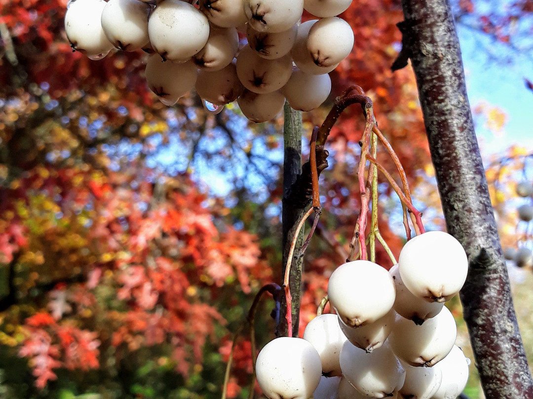 力推西部公园住宿酒店主图