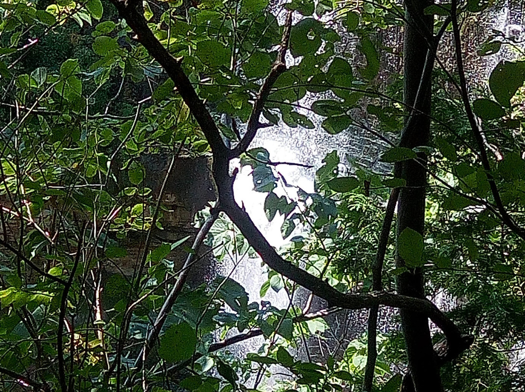 Webster Falls-邓达斯必去景点