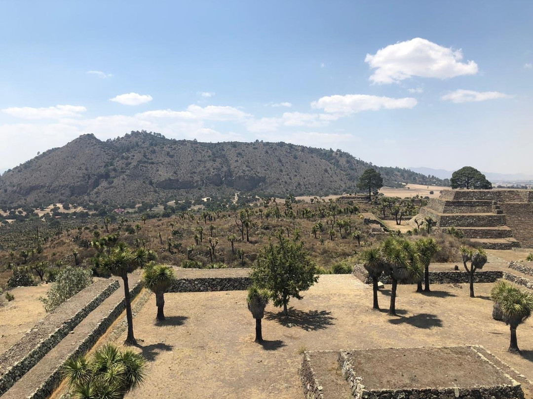 Zona Arqueológica de Cantona景点图片