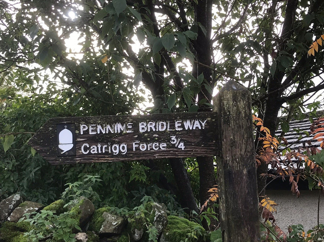 Catrigg Force Waterfall景点图片