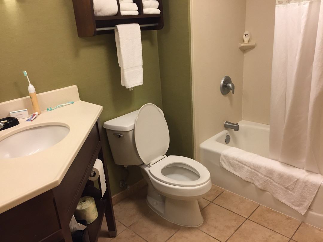 Hampton Inn Knoxville-Airport主图