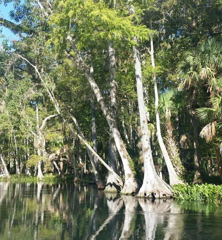 Captain Tom's Custom Charters-Belleview必去景点