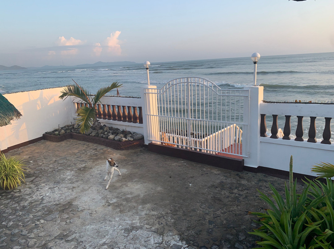 Olana Bed & Breakfast主图