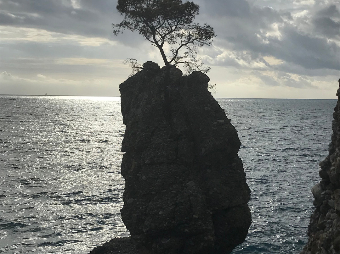 Elena Sardelli - Siena and Tuscany Tour Guide-锡耶纳必去景点