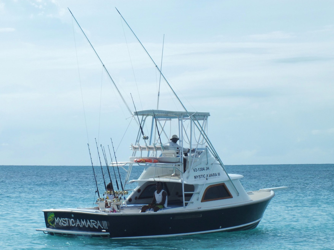 Mystic Amara III - Deep Sea & Bottom Fishing Charters-Jolly Harbour必去景点