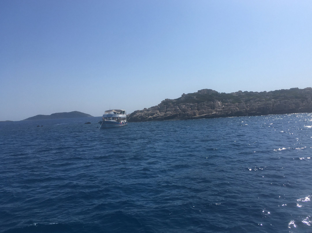 Tia Boat- Private Day Tours景点图片