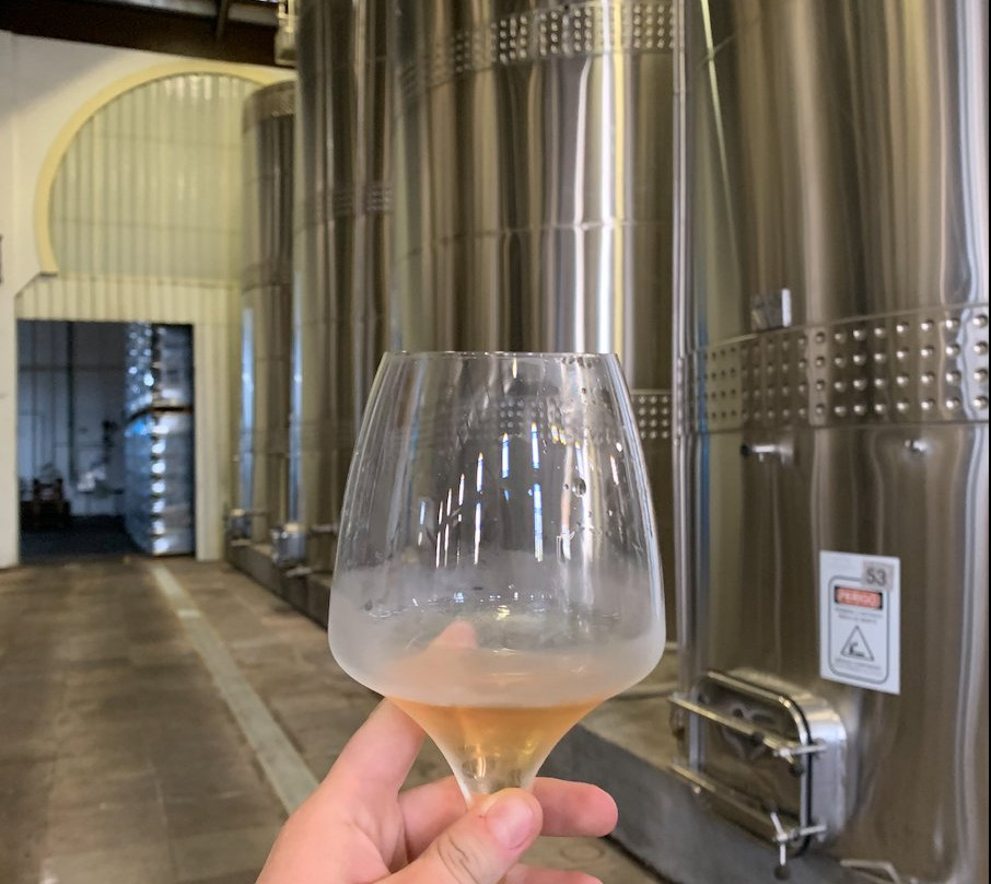 Domno Importadora Winery景点图片